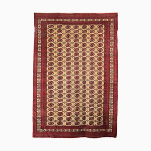 Antique Bukhara Rug in Cotton, Pakistan-VMM-2023831