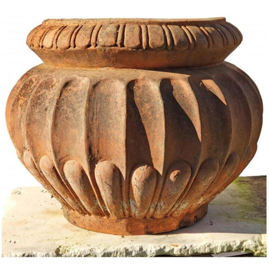 Antique Cachepot in Terracotta, 19th Century