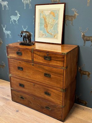 Antique Campaign Chest of Drawers-CUP-2032413