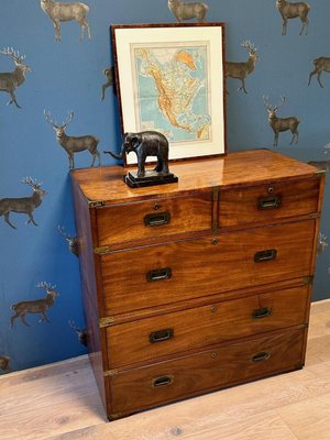 Antique Campaign Chest of Drawers-CUP-2032413