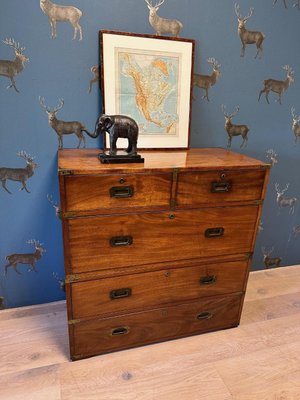 Antique Campaign Chest of Drawers-CUP-2032413