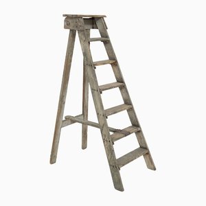 Antique Decorative Grey Wooden Ladder, 1920s-RCE-1415044