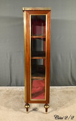 Antique Display Cabinet in Mahogany-RVK-2032343