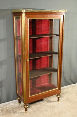 Antique Display Cabinet in Mahogany-RVK-2032343