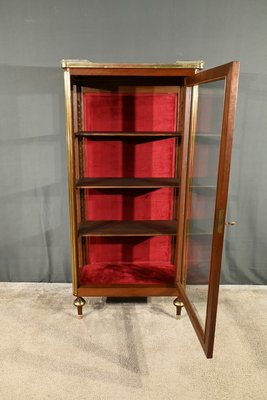 Antique Display Cabinet in Mahogany-RVK-2032343