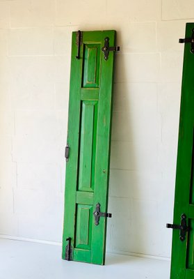 Antique Doors in Green, Set of 2-ALG-1351343