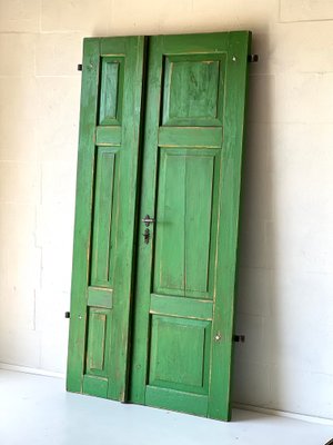 Antique Doors in Green, Set of 2-ALG-1351343