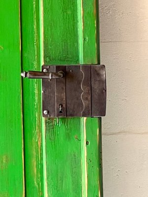 Antique Doors in Green, Set of 2-ALG-1351343