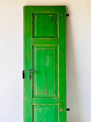 Antique Doors in Green, Set of 2-ALG-1351343