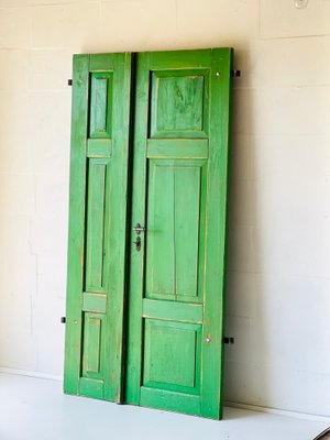 Antique Doors in Green, Set of 2-ALG-1351343