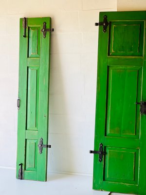 Antique Doors in Green, Set of 2-ALG-1351343