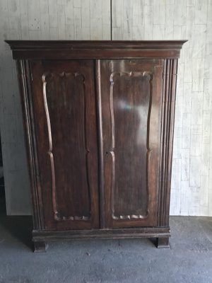 Antique Double Wardrobe-OXJ-744013