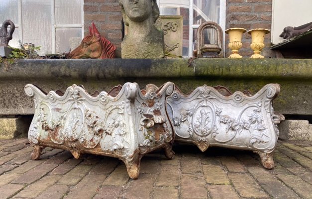 Antique French Cast Iron Garden Planters or Jardinières, Set of 2-WZZ-1150597