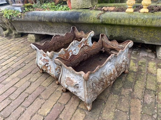 Antique French Cast Iron Garden Planters or Jardinières, Set of 2-WZZ-1150597