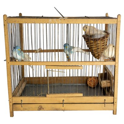 Antique French Country Poplar & Iron Bird Cage, 1900-RIU-1433131