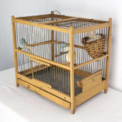 Antique French Country Poplar & Iron Bird Cage, 1900-RIU-1433131