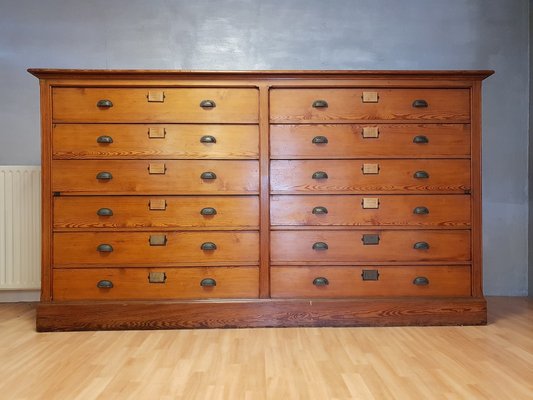 Antique Industrial University Lab Cabinet, 1900s-NQV-673272