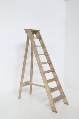 Antique Italian Beige Wood Ladder, 1920s-RCE-1416850