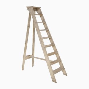 Antique Italian Beige Wood Ladder, 1920s-RCE-1416850