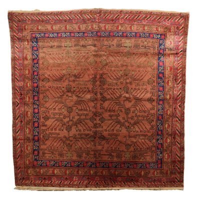 Antique Kotan Rug in Cotton & Wool, Uzbekistan-VMM-2023841