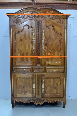 Antique Louis XV Birch Wardrobe-RVK-592357