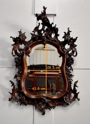 Antique Louis XV Style Solid Walnut Rocaille Mirror, 1900s-RVK-728032