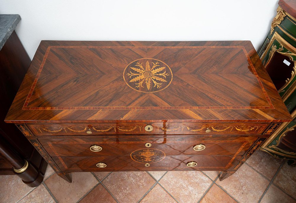 Antique Louis XVI Lombardy Veneto Chest of Drawers in Fine Woods, 18th Century