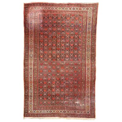 Antique Malayer Rug-YMM-1062199