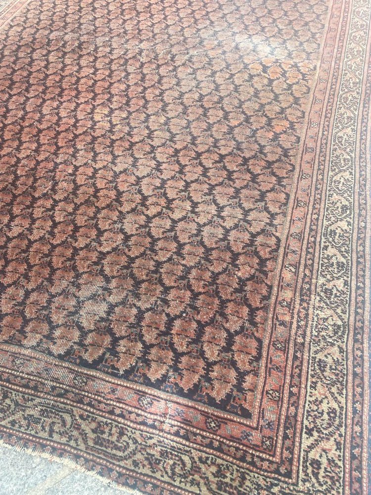 Antique Mir Saraband Rug