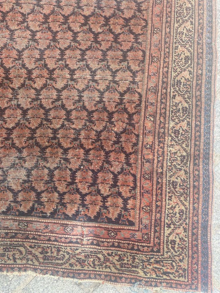 Antique Mir Saraband Rug