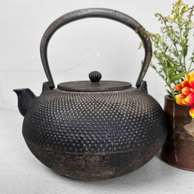 Antique Nanbu Tetsubin Cast Iron Teapot, 1890s-DWL-2024727