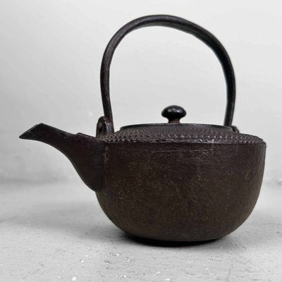 Antique Nanbu Tetsubin Cast Iron Teapot, 1890s-DWL-2024729