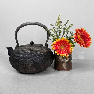 Antique Nanbu Tetsubin Cast Iron Teapot, 1890s-DWL-2024727