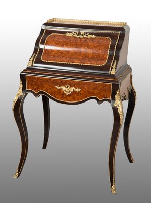 Antique Napoleon III French Reversal in Precious Exotic Woods with Gilded Bronze Garments-KKK-1777409