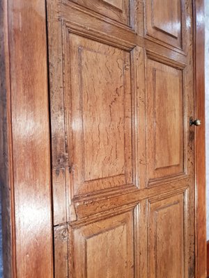 Antique Oak 6-Panel Door with Framework-NQV-722925