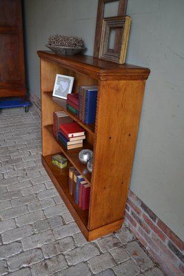 Antique Oak Bookcase-GTG-2019534