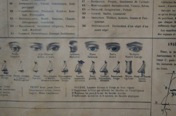 Antique Phrenology, Palmistry, and Physiognomy Lithograph Poster from Maison Basset-AIU-1320192