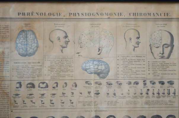 Antique Phrenology, Palmistry, and Physiognomy Lithograph Poster from Maison Basset-AIU-1320192