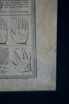 Antique Phrenology, Palmistry, and Physiognomy Lithograph Poster from Maison Basset-AIU-1320192