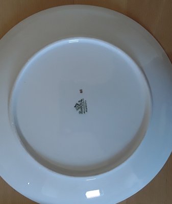 Antique Porcelain Feeder Set with Fish Motif from Rosenthal, 1928, Set of 6-HOI-1360414