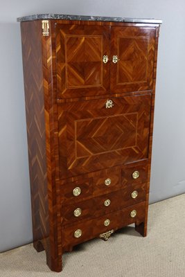 Antique Secretaire in Wood-WSV-2016360