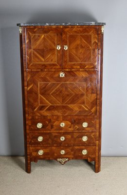 Antique Secretaire in Wood-WSV-2016360