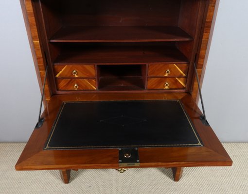 Antique Secretaire in Wood-WSV-2016360