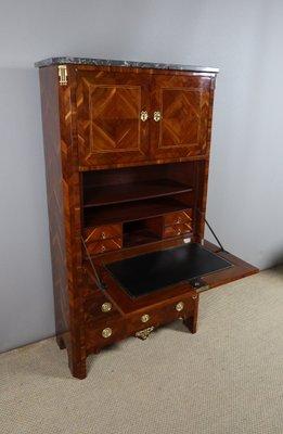 Antique Secretaire in Wood-WSV-2016360