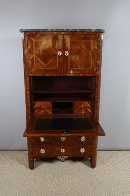 Antique Secretaire in Wood-WSV-2016360