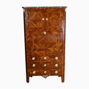 Antique Secretaire in Wood-WSV-2016360