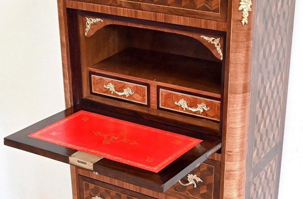 Antique Secretary in Precious Wood-RVK-1394788