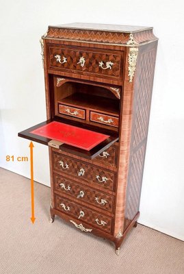 Antique Secretary in Precious Wood-RVK-1394788