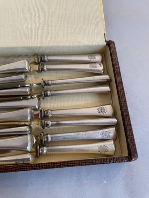 Antique Silver Fruit Cutlery Set by Alfred Pollak, Set of 16-SEI-885636