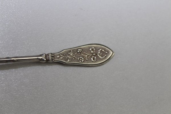 Antique Solid Silver Teaspoons, 1900s, Set of 12-ZWH-584799